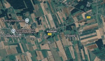 siedlisko Kiewłaki