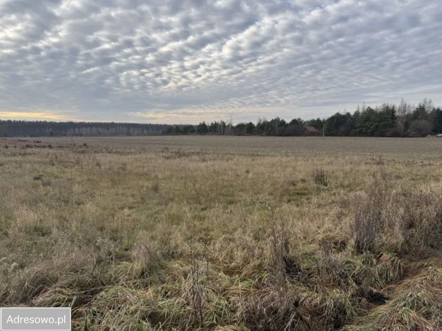 Działka budowlana Kosewko, ul. Letniskowa. Zdjęcie 1