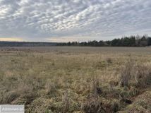 Działka budowlana Kosewko, ul. Letniskowa