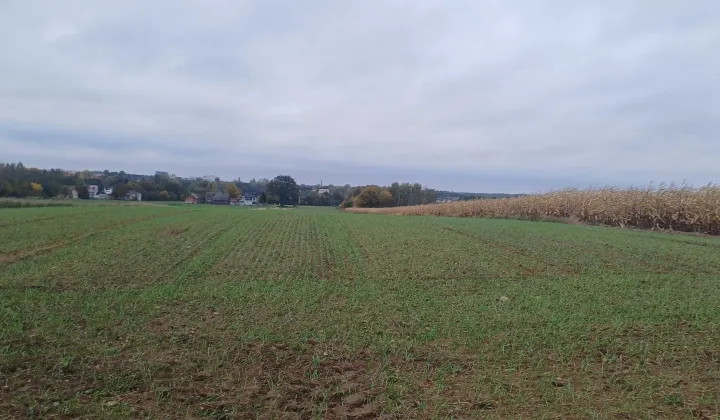 Działka rolno-budowlana Smolice