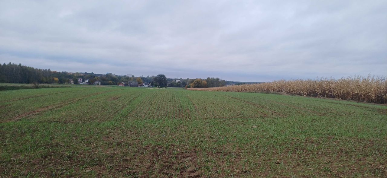 Działka rolno-budowlana Smolice