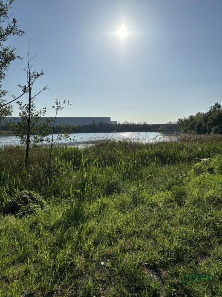 Działka inna Ruda Śląska Ruda, ul. Asfaltowa. Zdjęcie 4