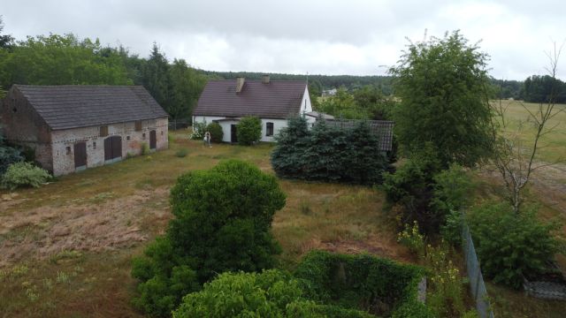 Działka siedliskowa Chojno-Błota Małe. Zdjęcie 11