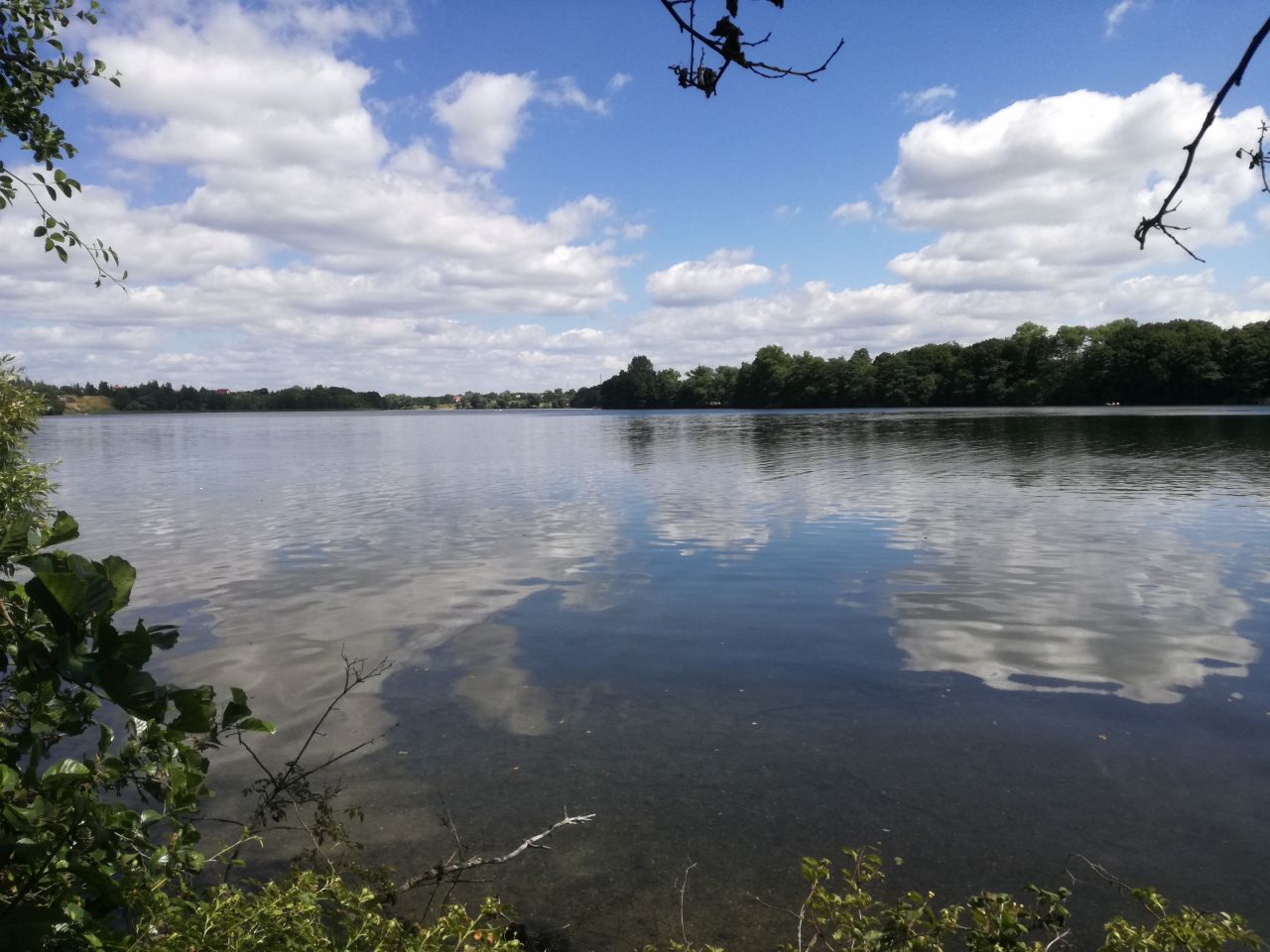 Działka rolna Knieja. Zdjęcie 2