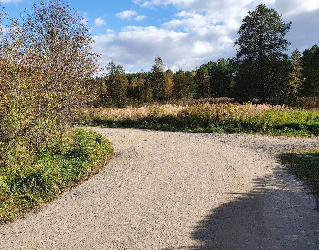 Działka budowlana Łupstych. Zdjęcie 12