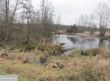 Działka rolna Szczekarków-Kolonia. Zdjęcie 1