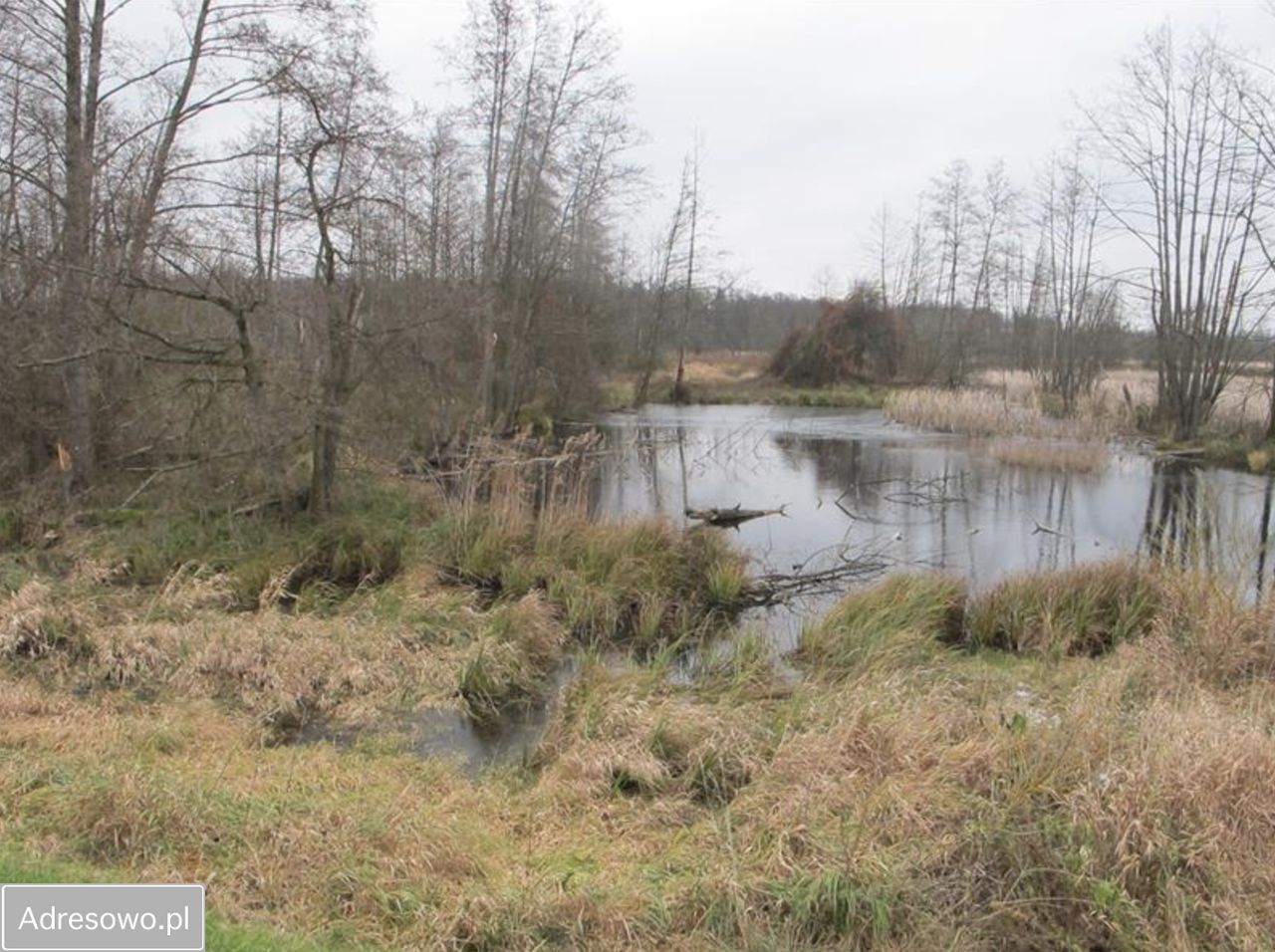 Działka rolna Szczekarków-Kolonia. Zdjęcie 2