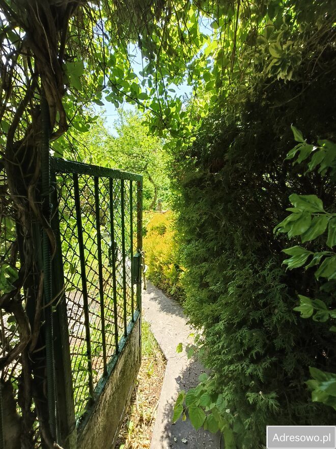 Działka rod Kielce Świętokrzyskie, ul. Wschodnia. Zdjęcie 6