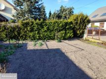 dom wolnostojący, 4 pokoje Toruń Bielany, ul. Jagodowa. Zdjęcie 2