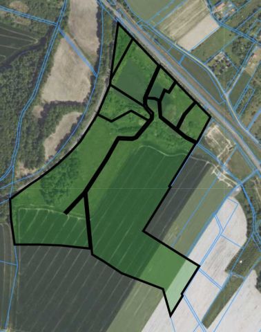 Działka rolna Krzewie Wielkie. Zdjęcie 2