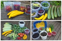 Działka rod Gdańsk Stogi, ul. Ugory. Zdjęcie 1