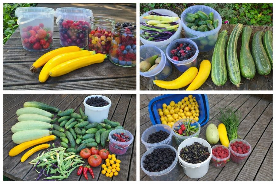 Działka rod Gdańsk Stogi, ul. Ugory. Zdjęcie 2