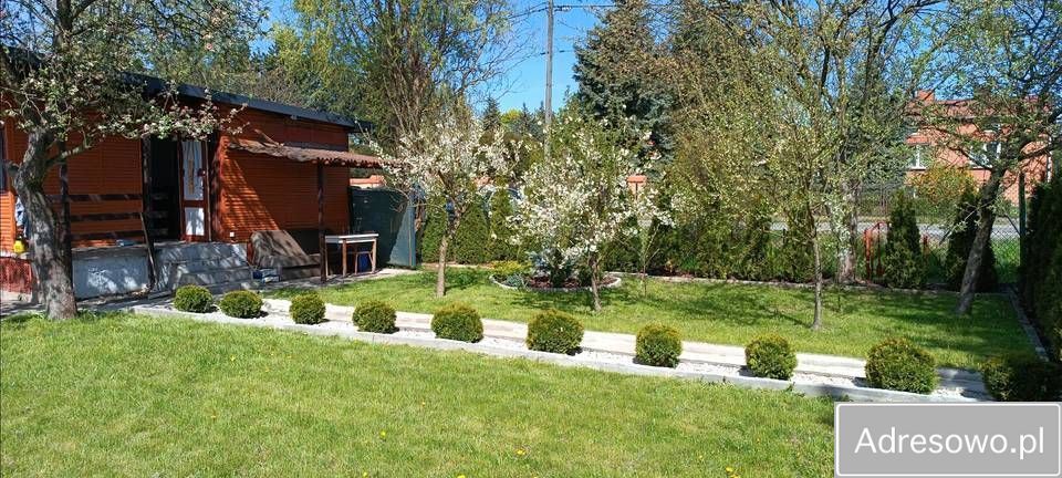 Działka rod Piotrków Trybunalski Belzatka, ul. Gęsia. Zdjęcie 6