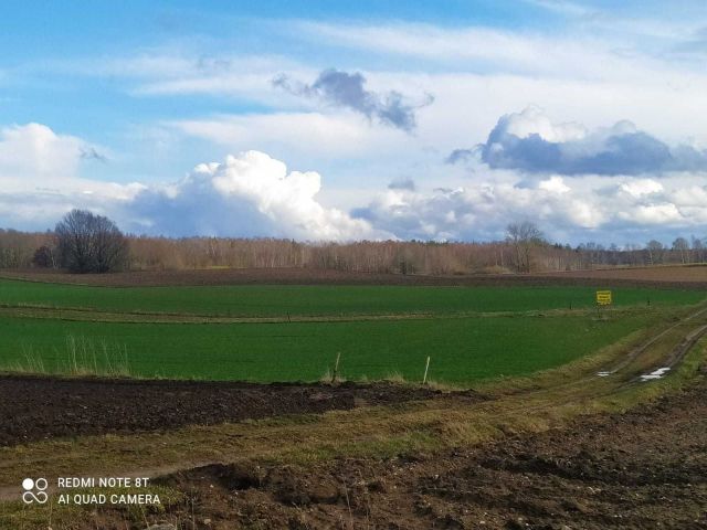 Działka budowlana Borzytuchom. Zdjęcie 1