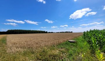 Działka rolna Przedewsie