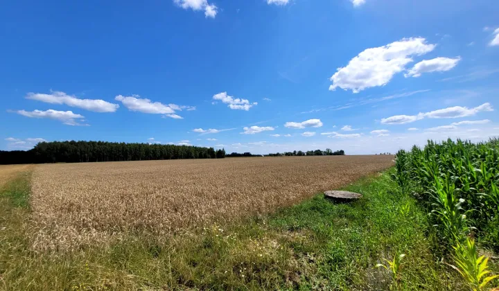 Działka rolna Przedewsie
