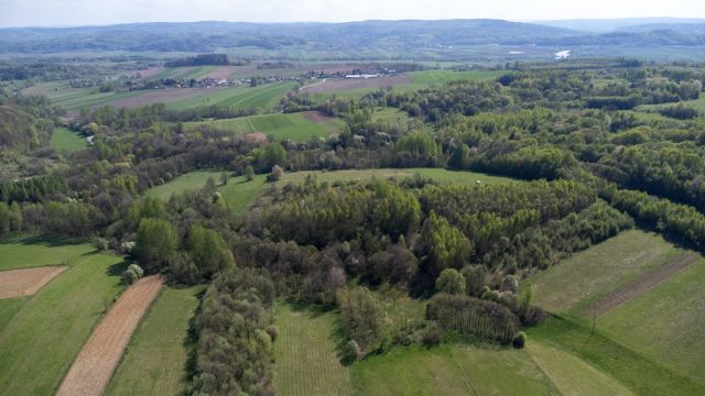 Działka rolna Laskówka. Zdjęcie 16