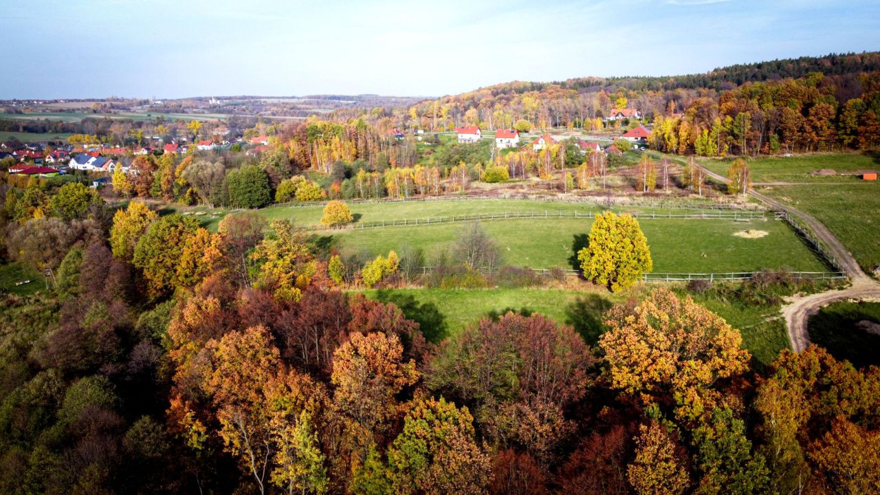 Działka budowlana Dziećmorowice. Zdjęcie 6