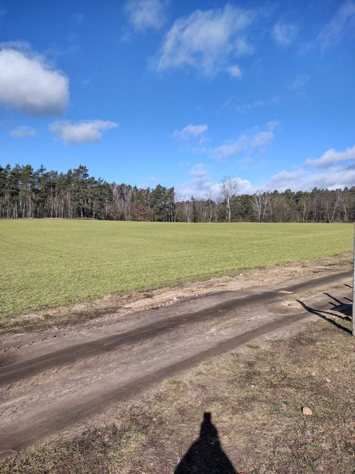 Działka budowlana Lubosz. Zdjęcie 2