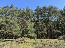 Działka budowlana Kopanki. Zdjęcie 3