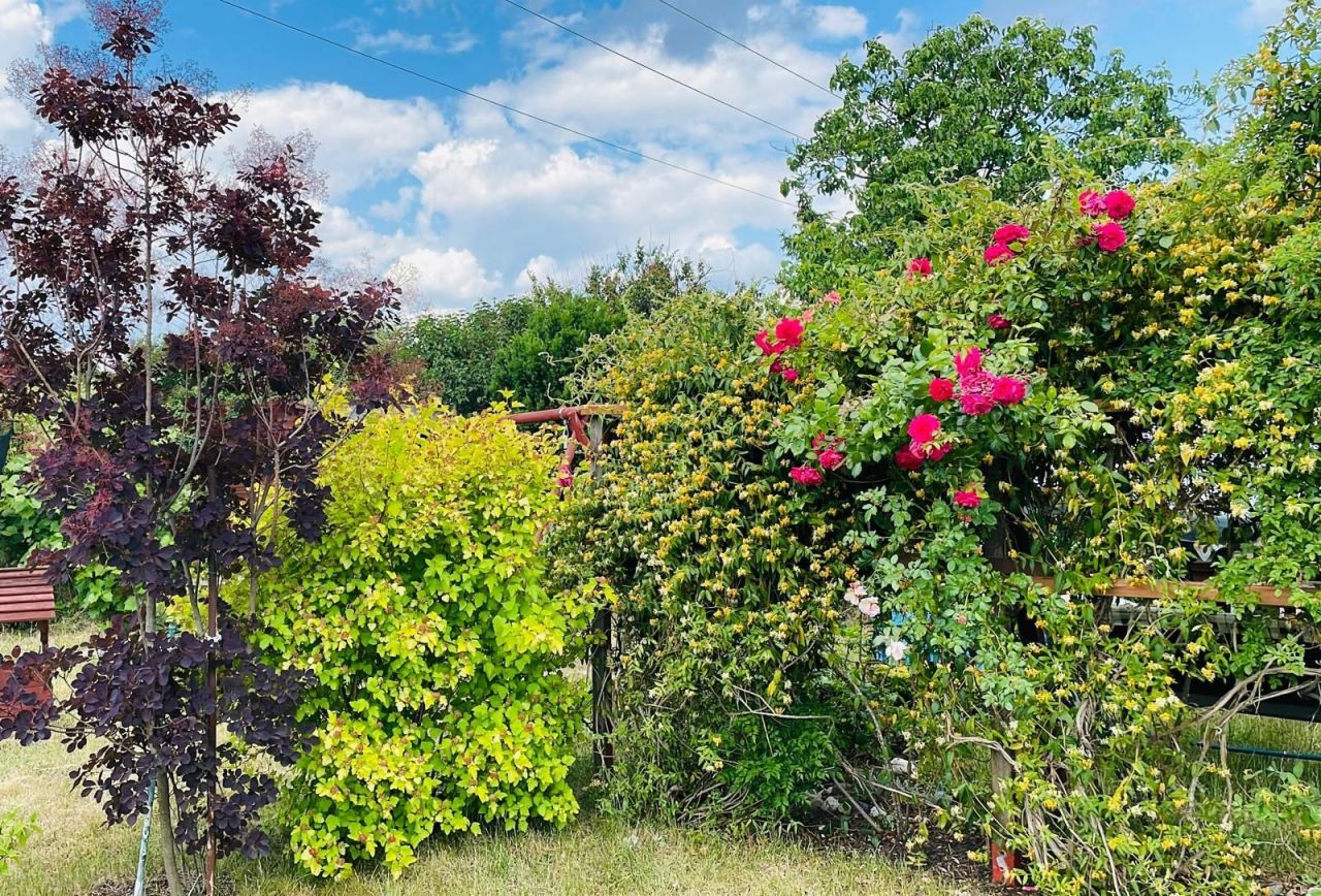 Działka rod Wrocław Fabryczna, ul. Klecińska