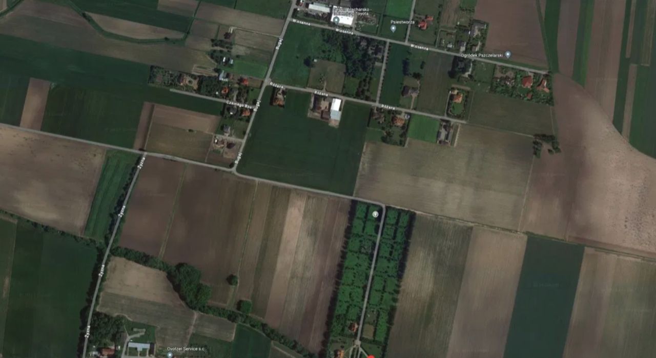 Działka rolno-budowlana Kręczki, ul. Polnych Maków. Zdjęcie 7