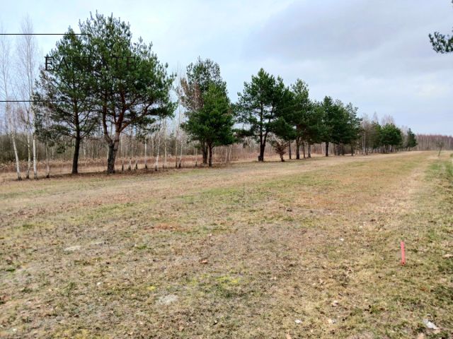 Działka budowlana Koryta, ul. Lipowa. Zdjęcie 1