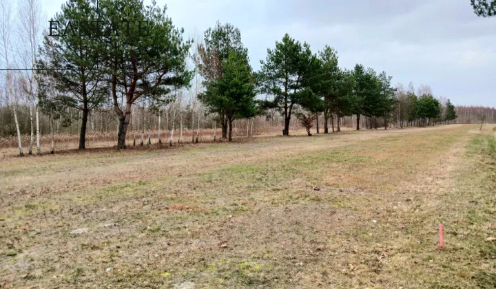 Działka budowlana Koryta, ul. Lipowa