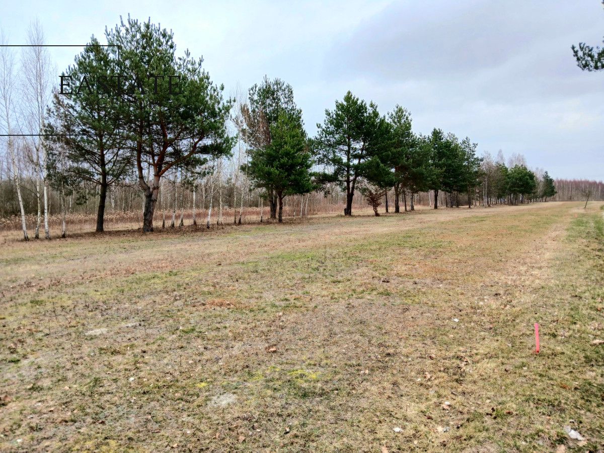 Działka budowlana Koryta, ul. Lipowa. Zdjęcie 1