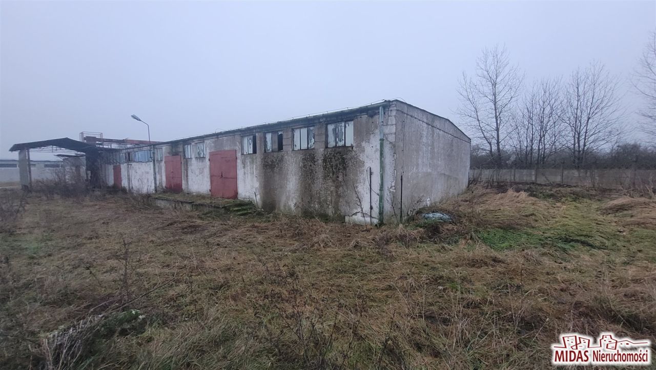Hala/magazyn Lubraniec. Zdjęcie 12