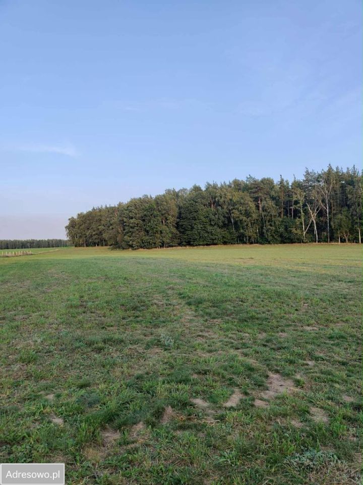 Działka budowlana Komorniki. Zdjęcie 7