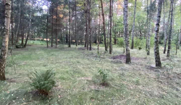 Działka rekreacyjna Kępiaste