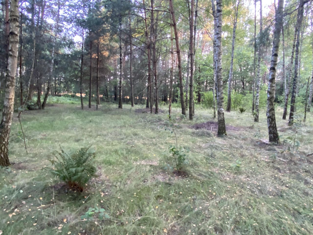 Działka rekreacyjna Kępiaste