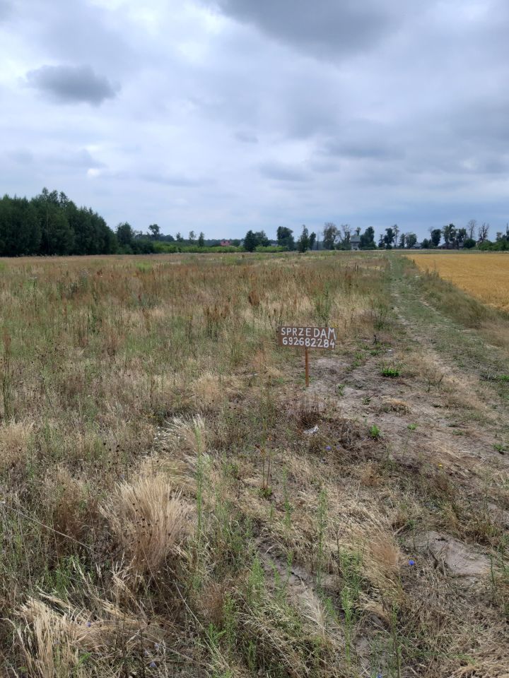 Działka rolno-budowlana Brzóza Parcela, ul. Aleja Lipowa. Zdjęcie 2