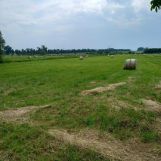 Działka rolna Brudzewice. Zdjęcie 1