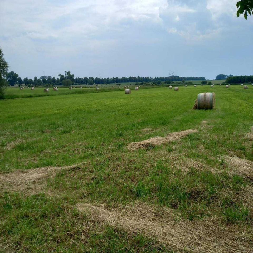 Działka rolna Brudzewice. Zdjęcie 2