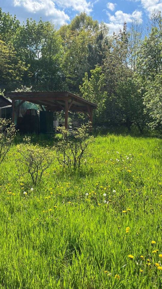 Działka rod Świdnica. Zdjęcie 4