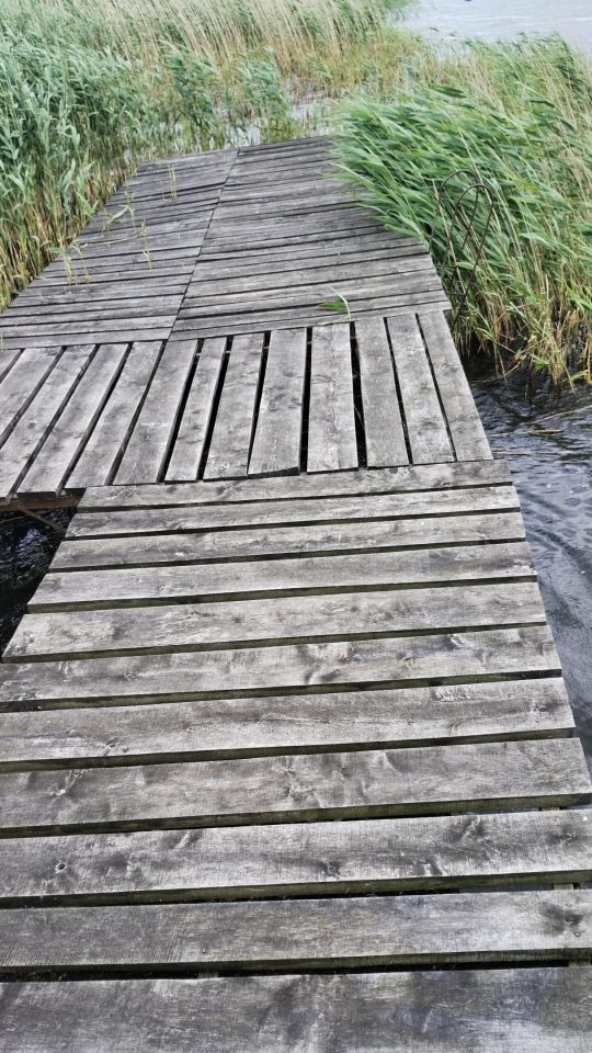 Działka budowlana Słupia. Zdjęcie 6