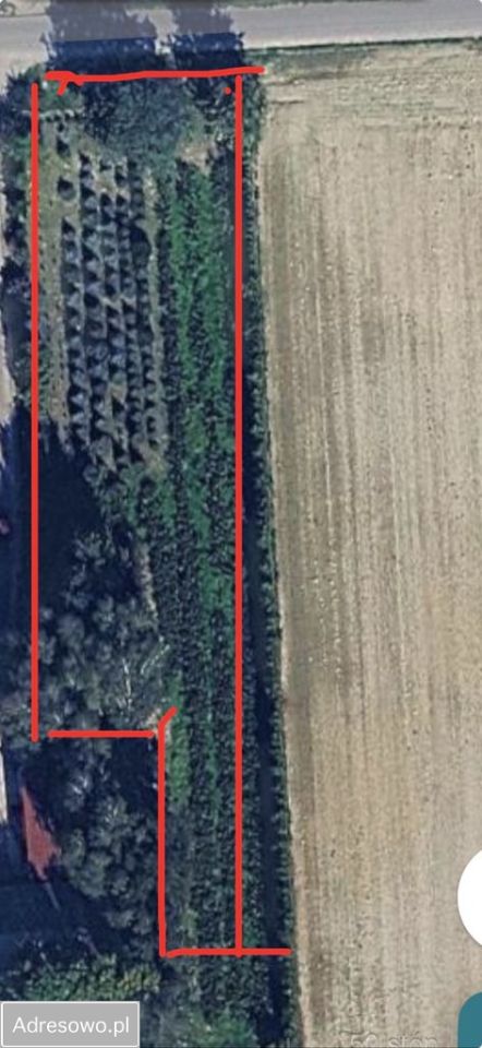 Działka budowlana Panieńszczyzna