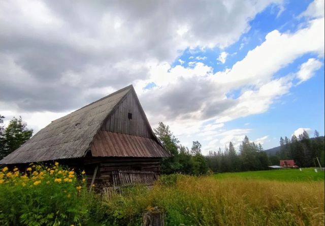 Działka rolno-budowlana Witów Roztoki. Zdjęcie 1