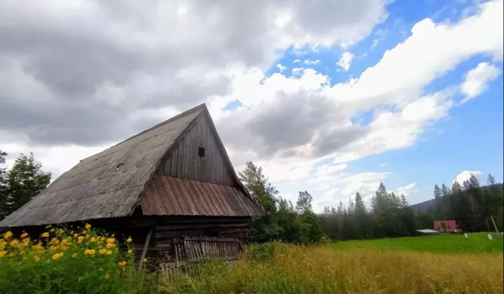 Działka rolno-budowlana Witów Roztoki, ul. Rysulówka