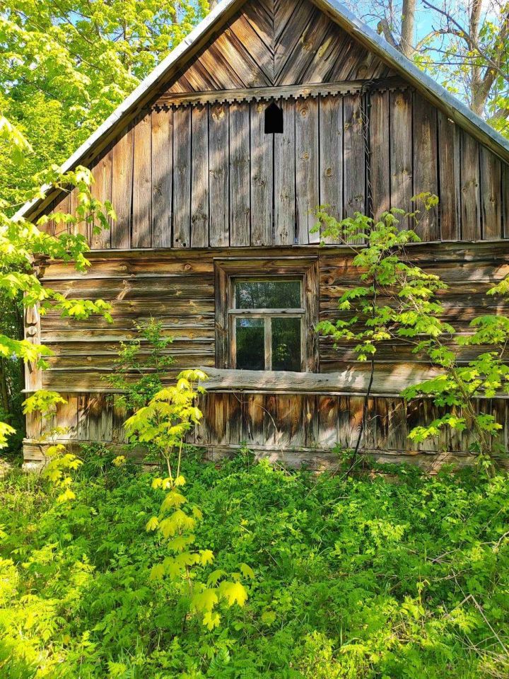 siedlisko Żmijewek-Mans. Zdjęcie 3