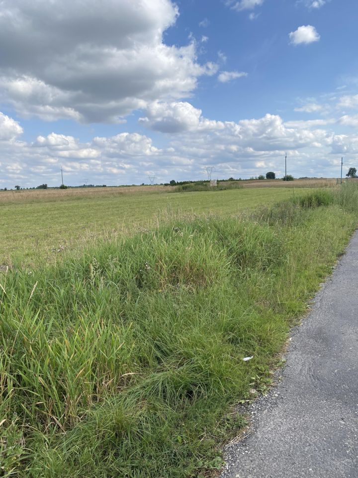 Działka inna Osiny. Zdjęcie 7