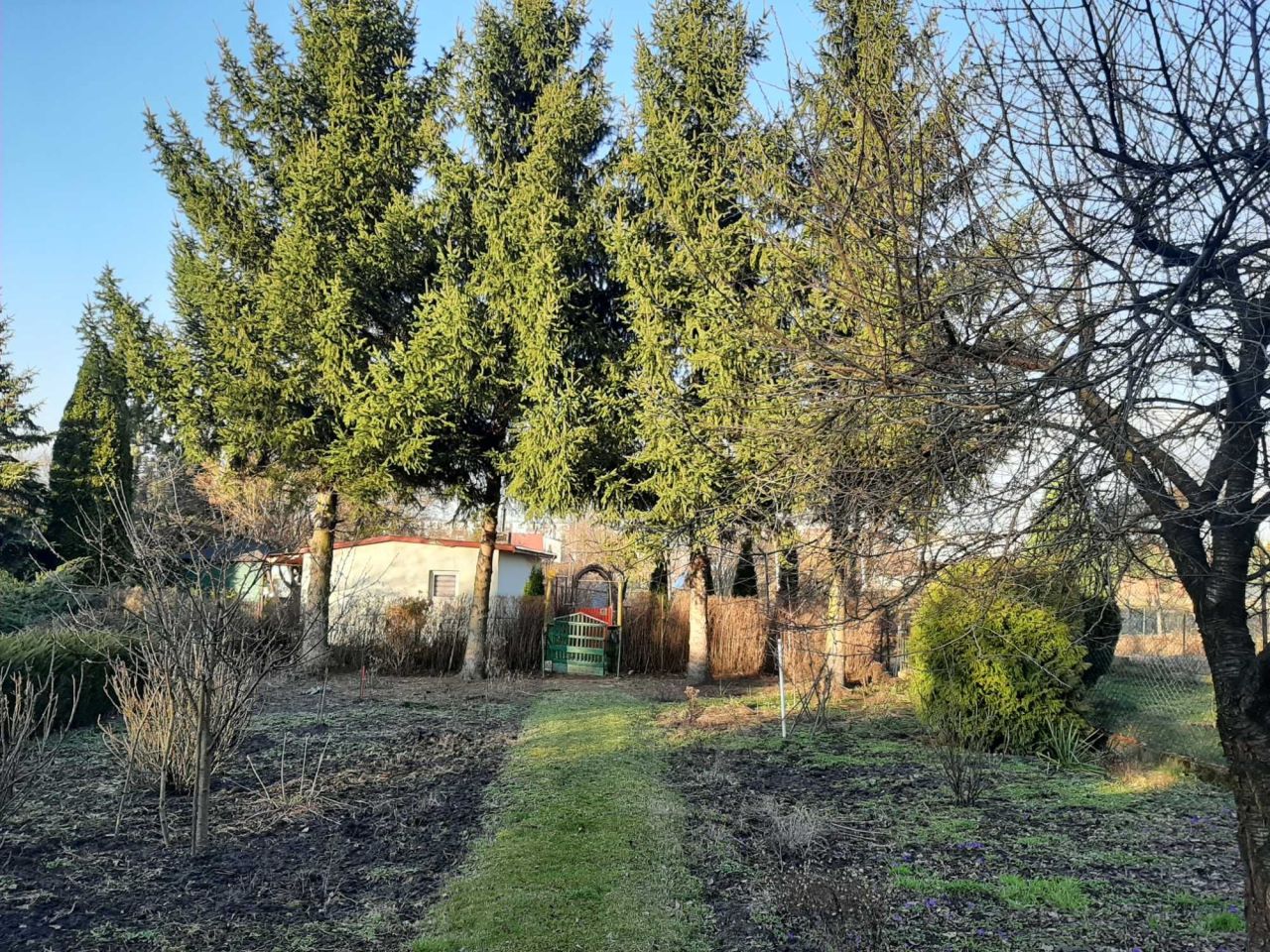 Działka rod Zduńska Wola, ul. Adama Mickiewicza. Zdjęcie 8