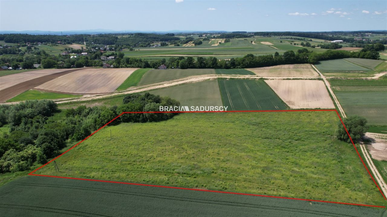 Działka rolna Rawałowice. Zdjęcie 9