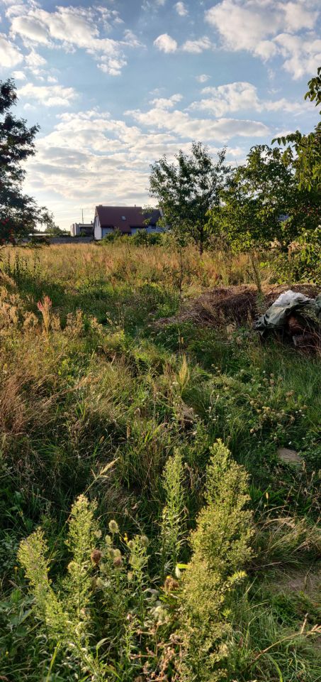 Działka budowlana Przygodzice, ul. Wincentego Witosa. Zdjęcie 12