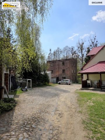 Działka budowlana Różańsko. Zdjęcie 2