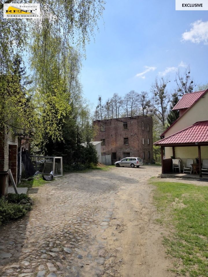 Działka budowlana Różańsko. Zdjęcie 2