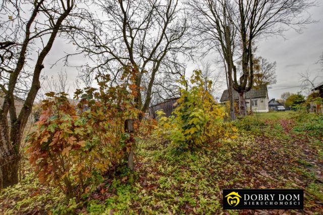 siedlisko, 3 pokoje Knorydy. Zdjęcie 15