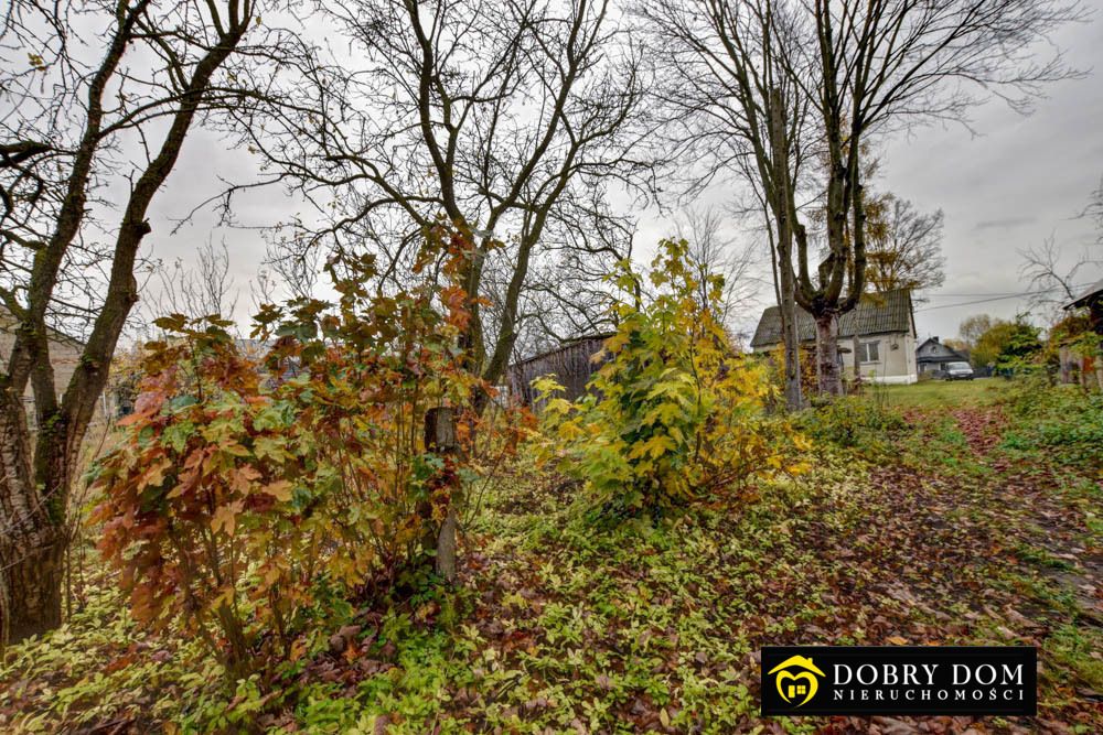 siedlisko, 3 pokoje Knorydy. Zdjęcie 15